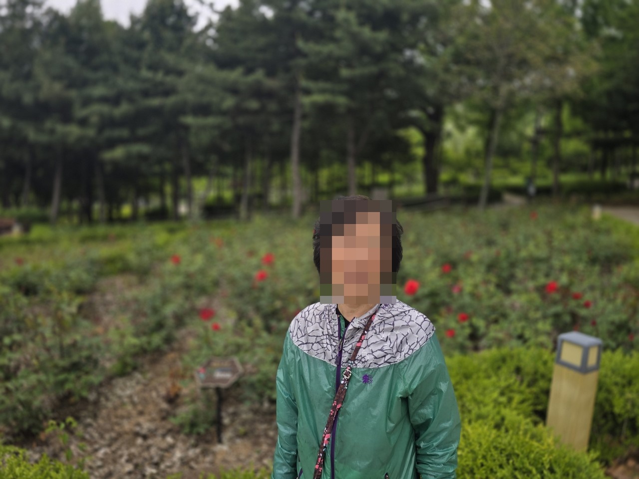 e_df0Ud018svcy4d089ppbu93_cm6q1p.jpg