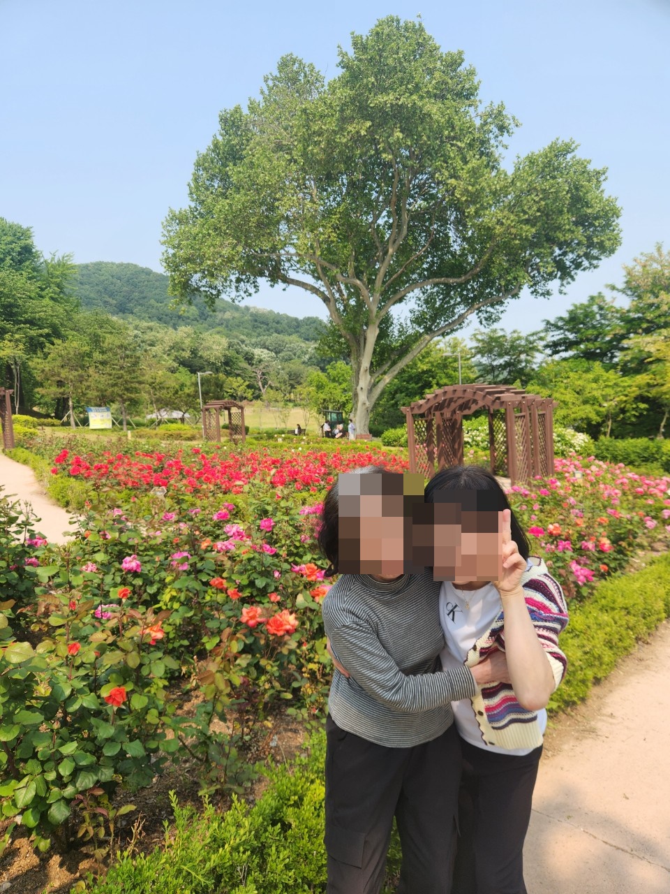 사본 -e_jc8Ud018svc5c4bqyc376ig_d7dcfz.jpg