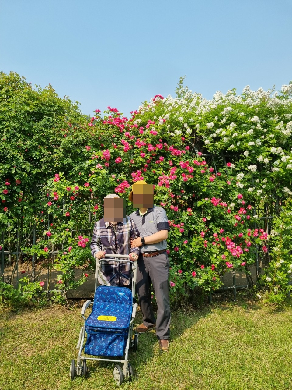 5.30_산책_1.jpg